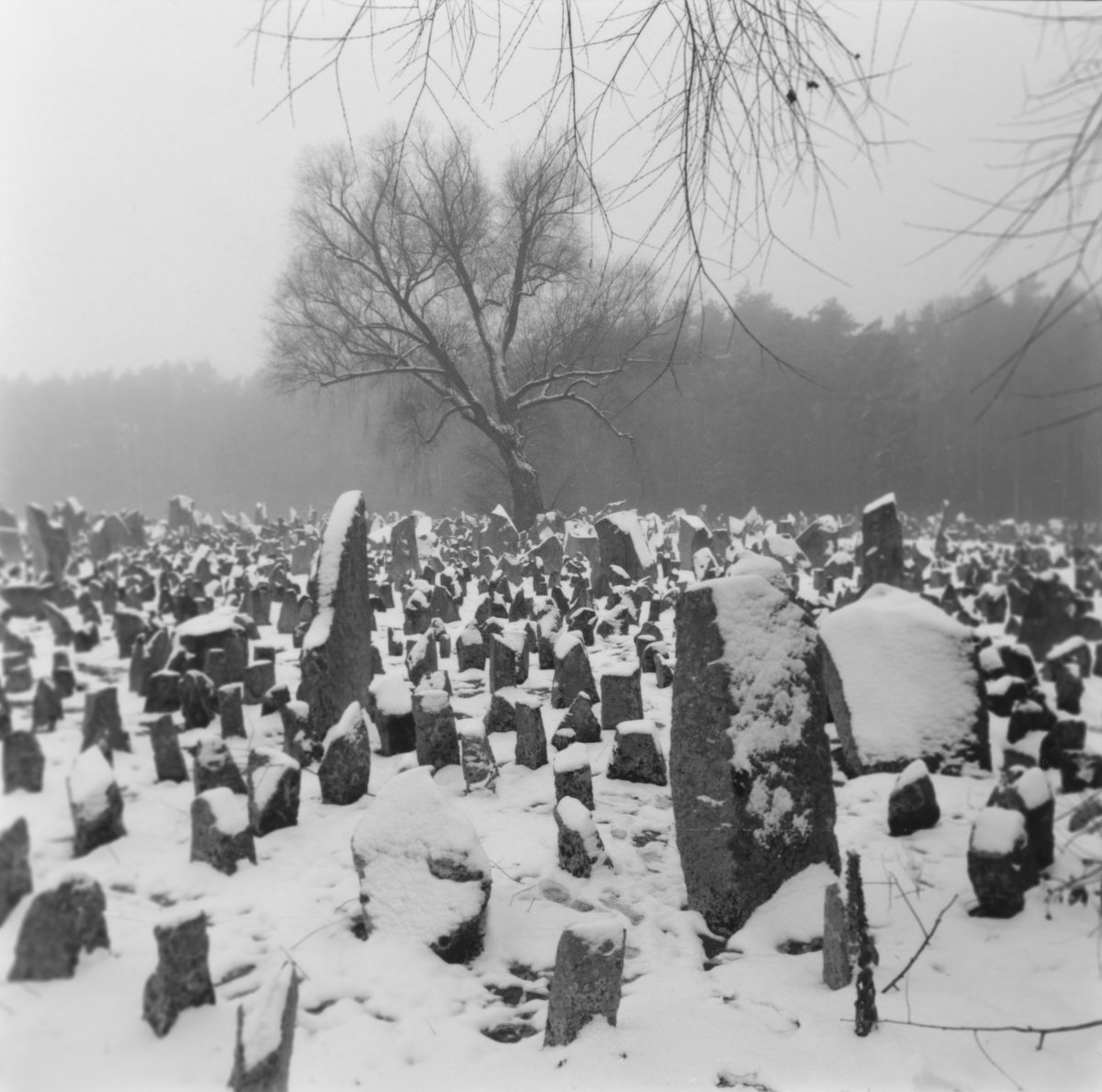 The Treblinka Death Camp