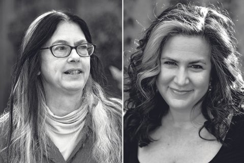 PER Sorry Sorry Sorry Book Excerpt AUTHORS