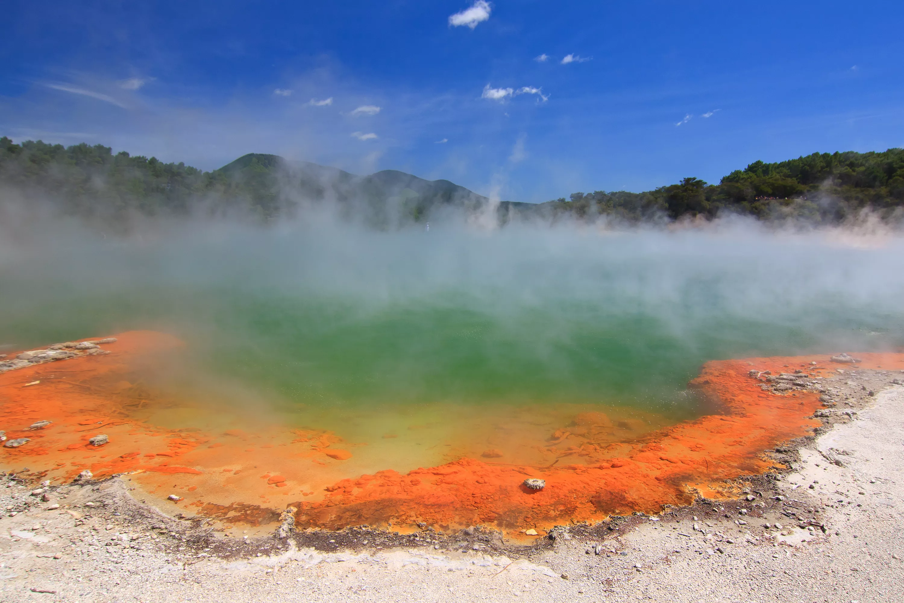 New Zealand on Alert over Supervolcano with Explosive History - Vimarsana News