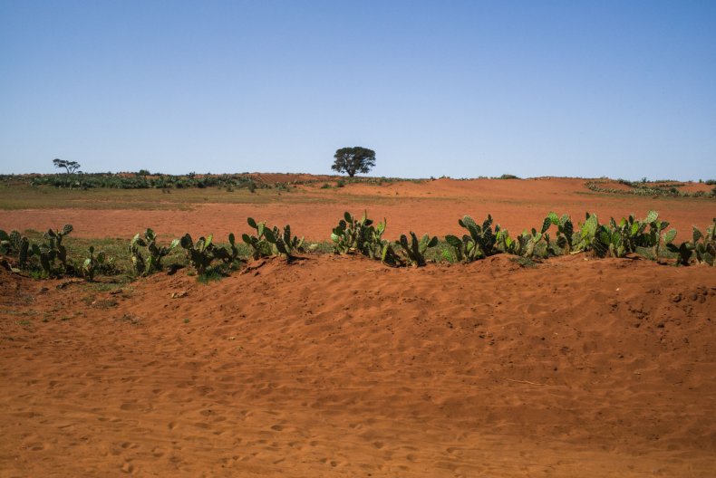 A general view of a landscape