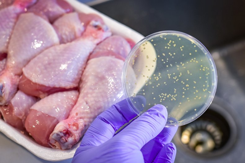 raw chicken with bacteria