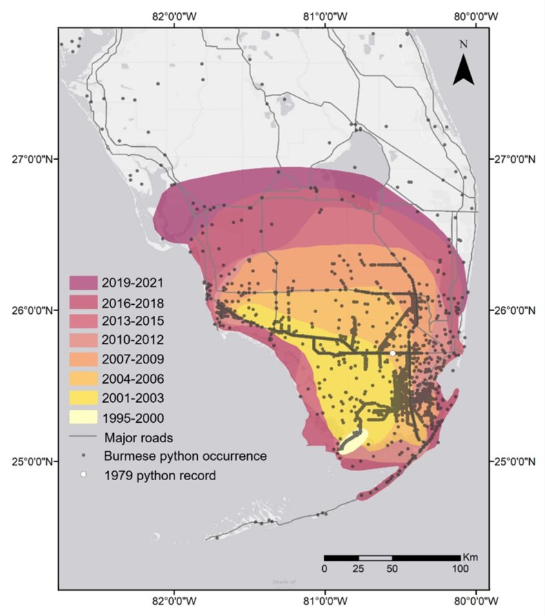 Burmese python geographic spread