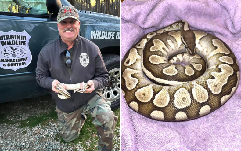 Richard Perry, Virginia Wildlife Management and Control