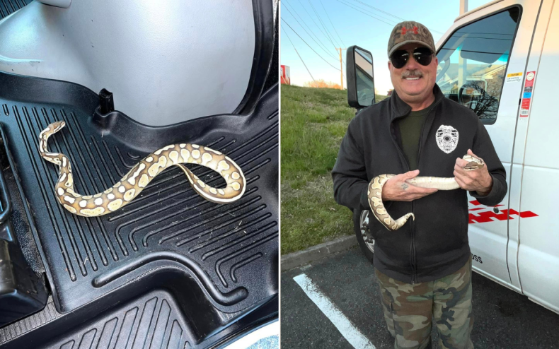 Richard Perry, Virginia Wildlife Management and Control