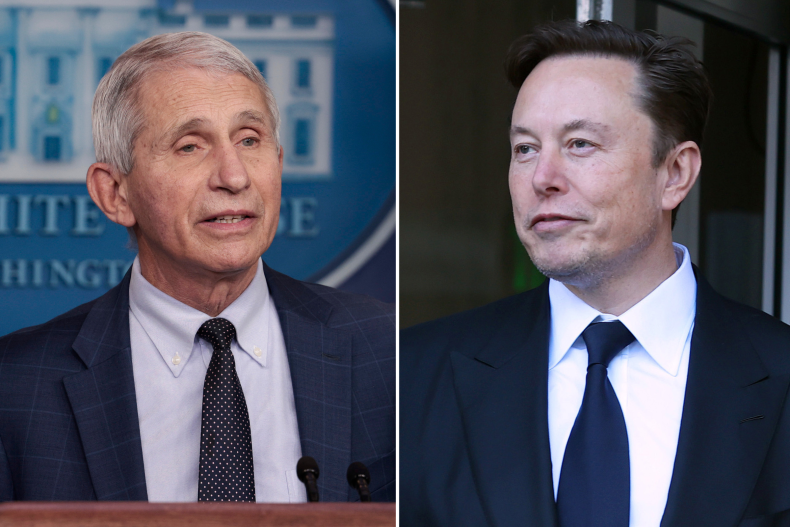 Anthony Fauci responds to Musk's 