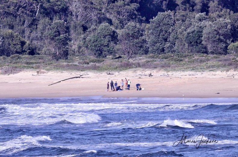 The father and son rescued in Australia.