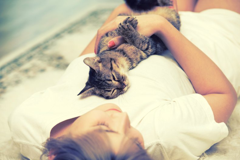 Cat laying with woman