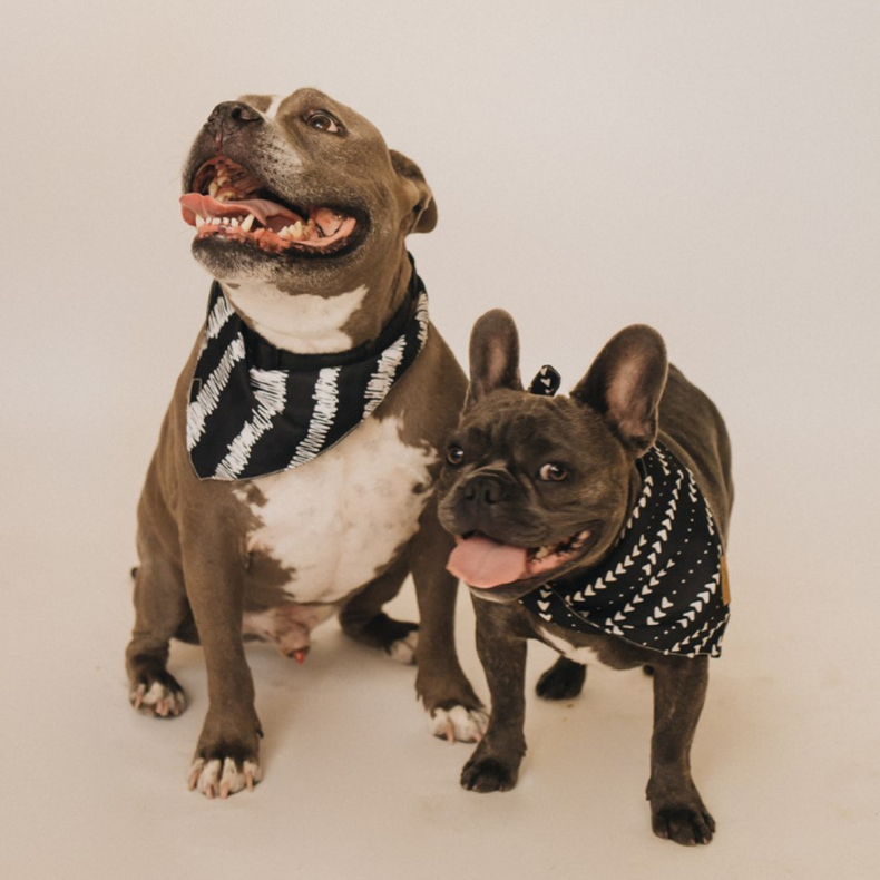 Zeus (left) and Breus (right)