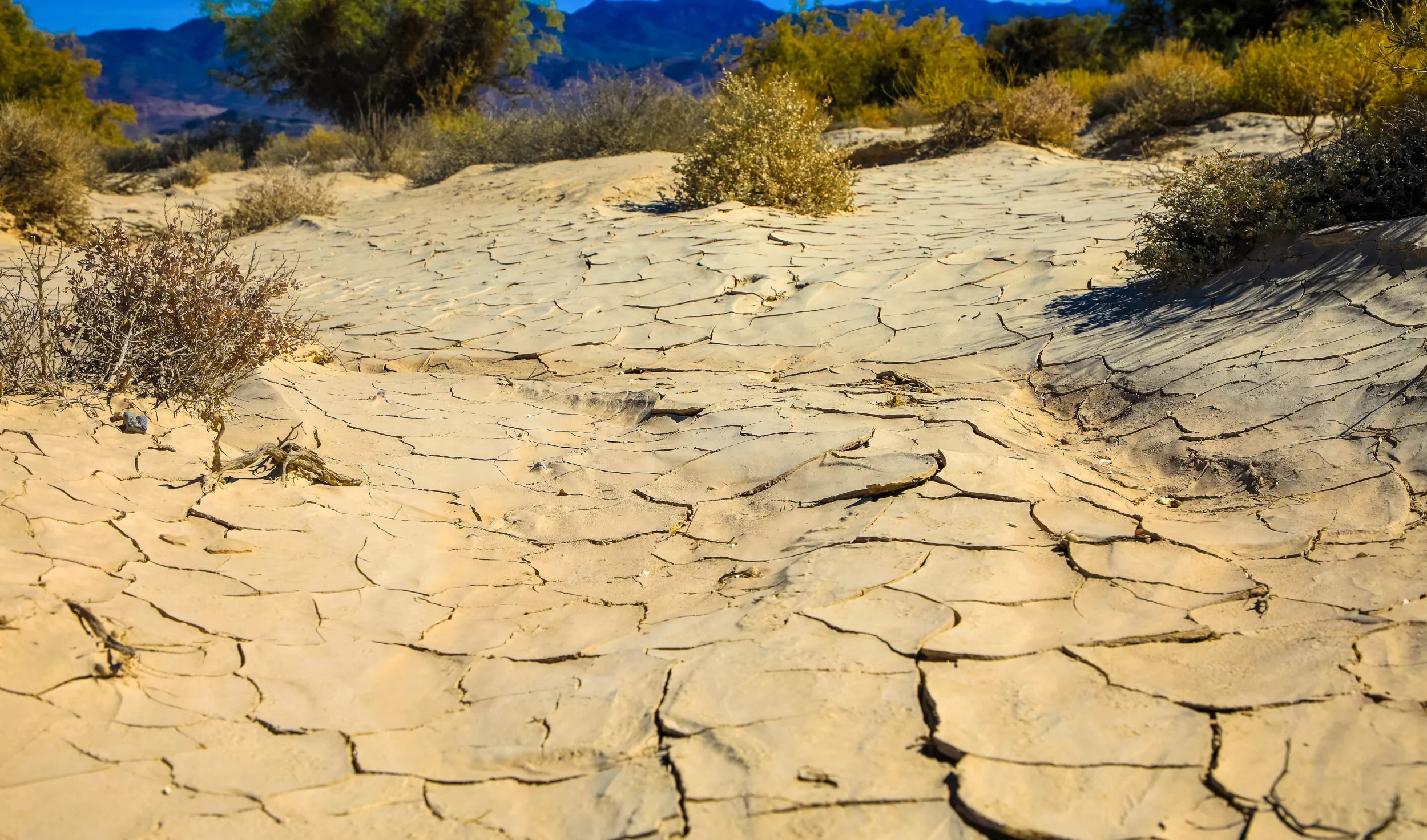 Drought Battle Is Looking Up for California - Vimarsana News