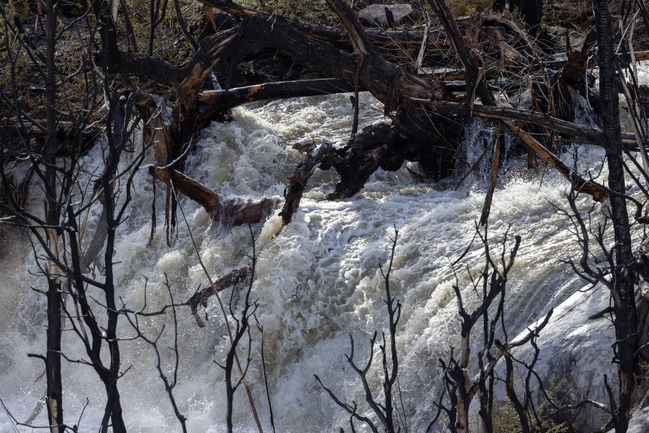 Floods Are About to Threaten Nearly Half of the U.S. - Vimarsana News