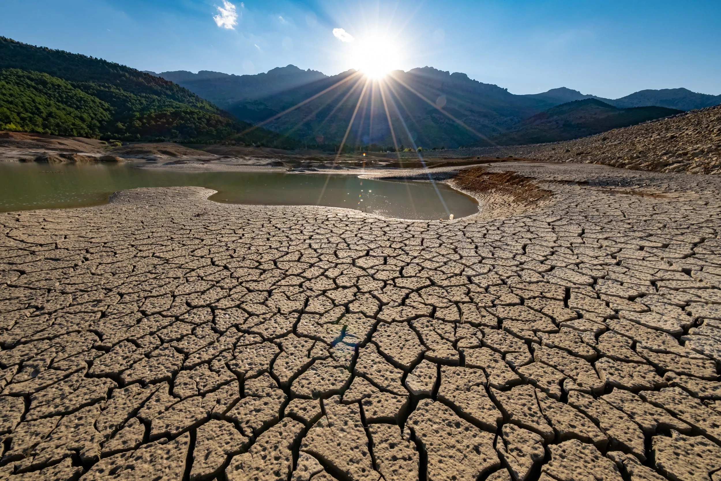Drought-Stricken California Lake Set to Overspill After Heavy Rain - Vimarsana News