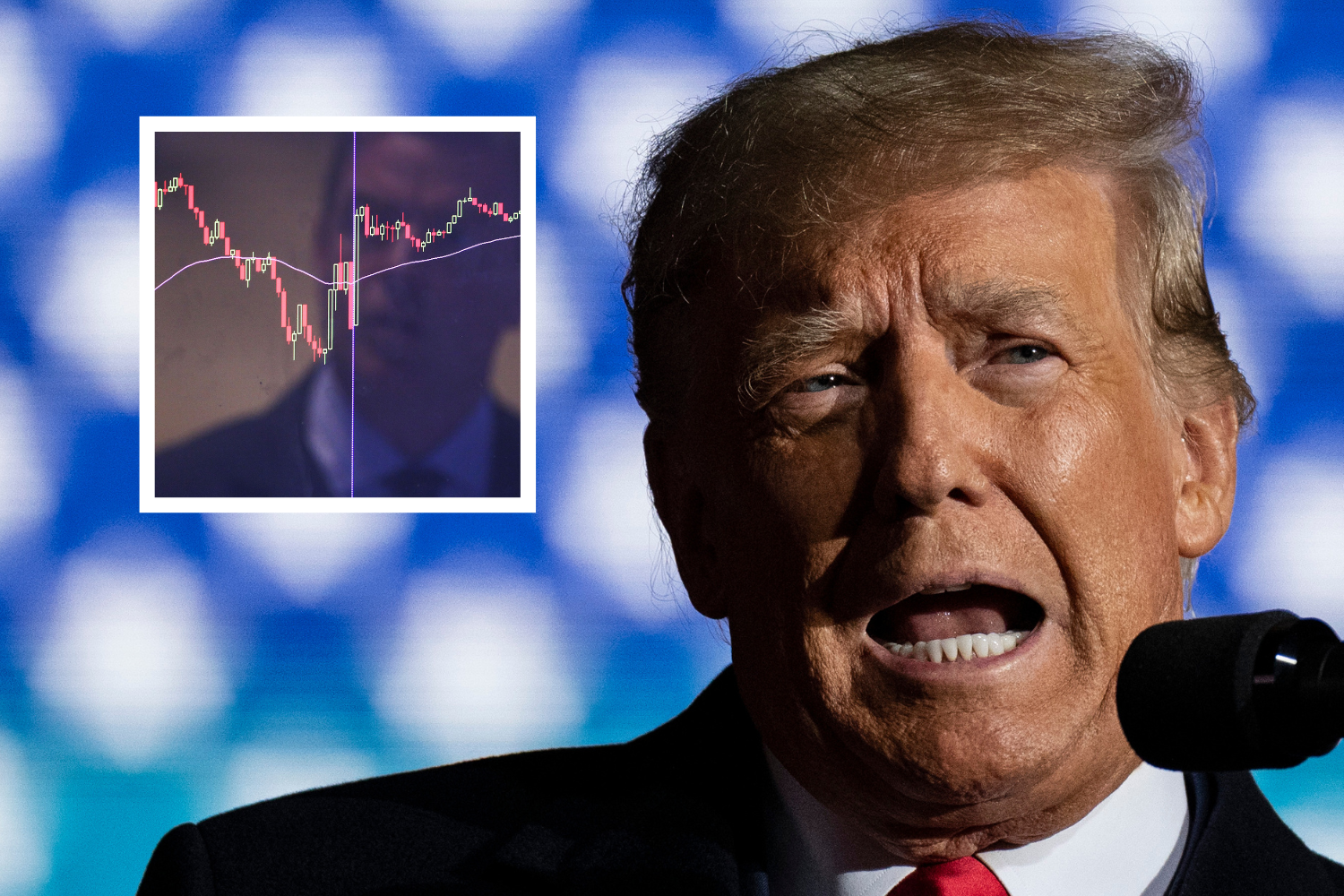Trump-Linked Stock Sees Trading Halted in Volatile Swing
