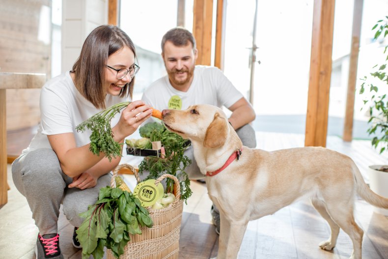 Dog being fed carrot by woman.