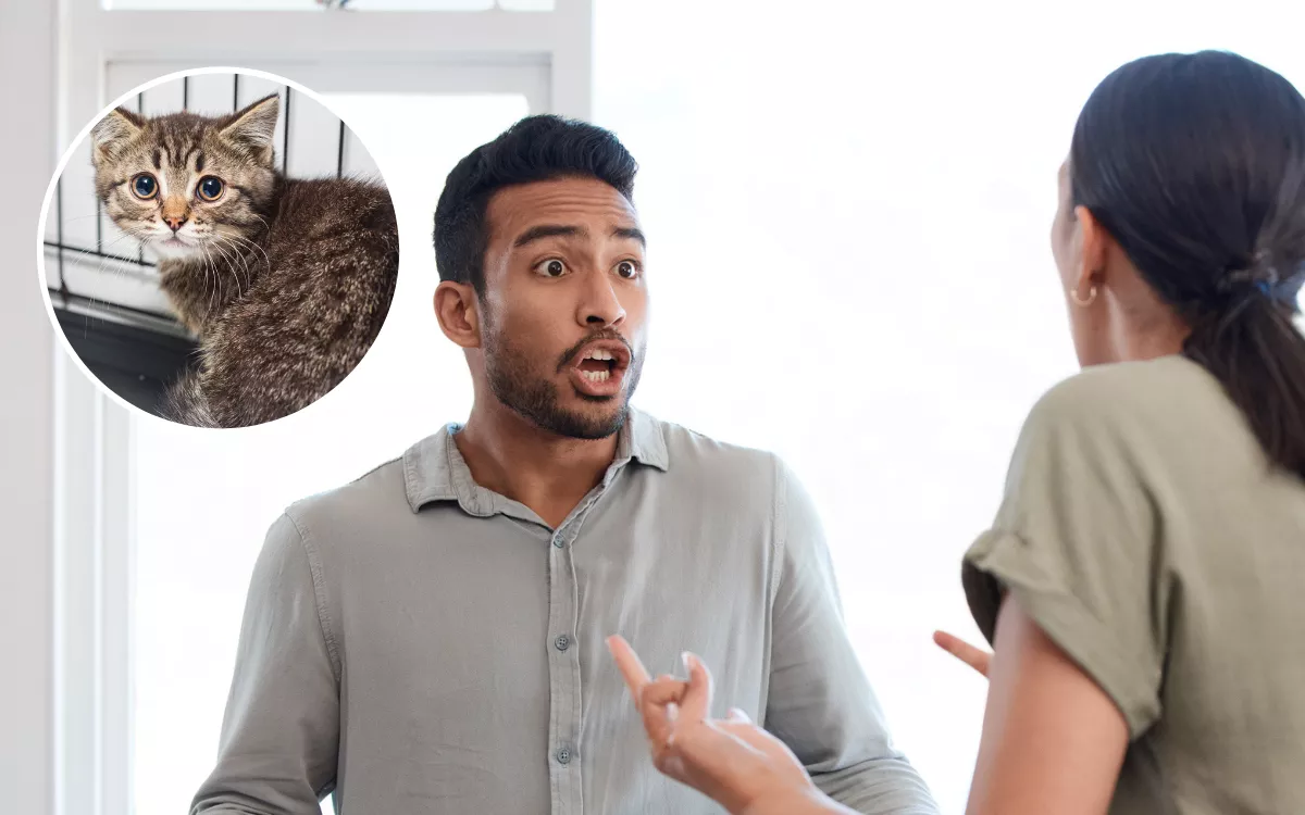 Woman Blasted Over Treatment of Boyfriend's Cat–'I Would Break Up With You' - Vimarsana News