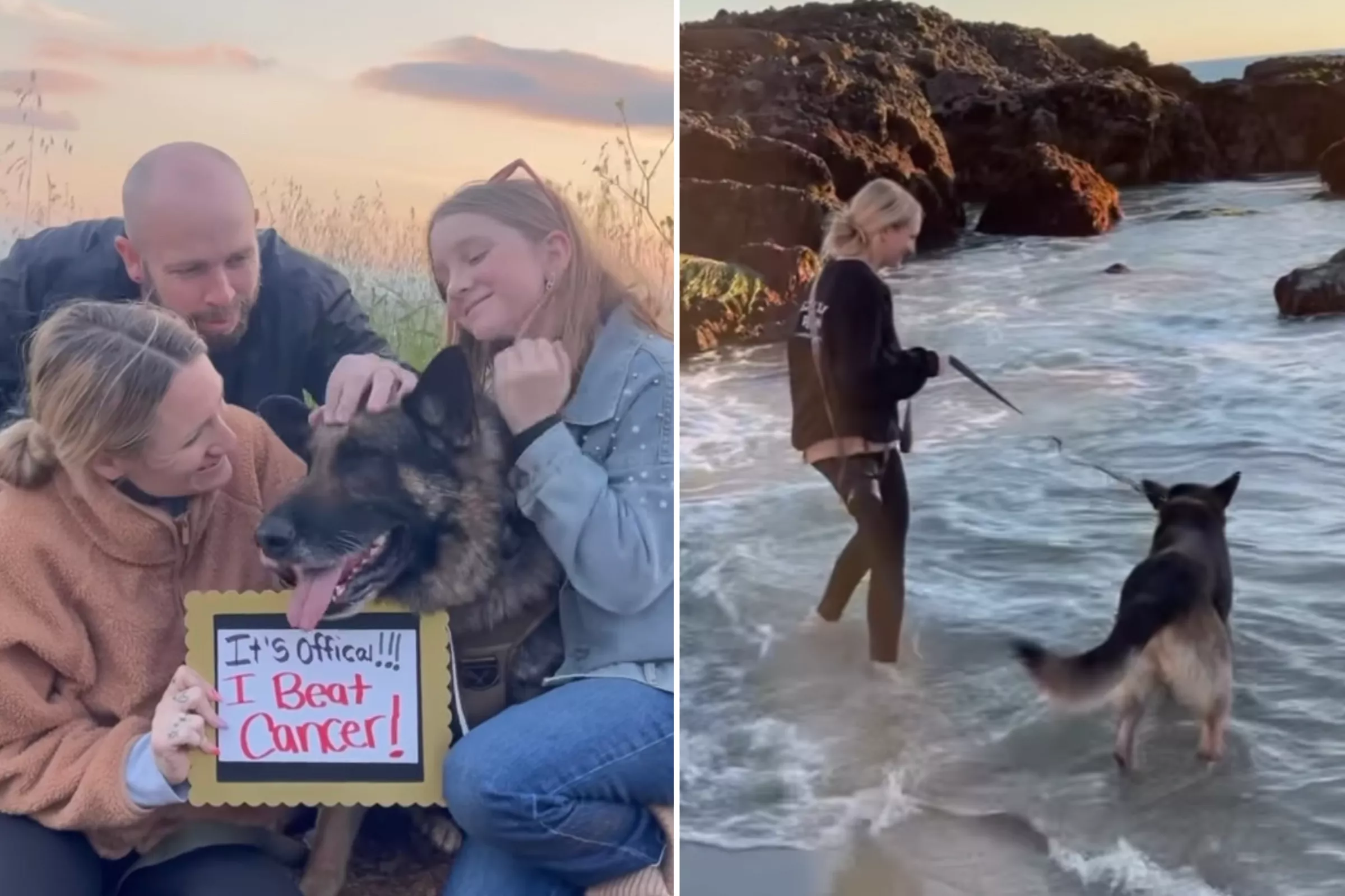 Senior Dog Adopted Before Euthanasia Lives Best Life After Beating Cancer - Vimarsana News
