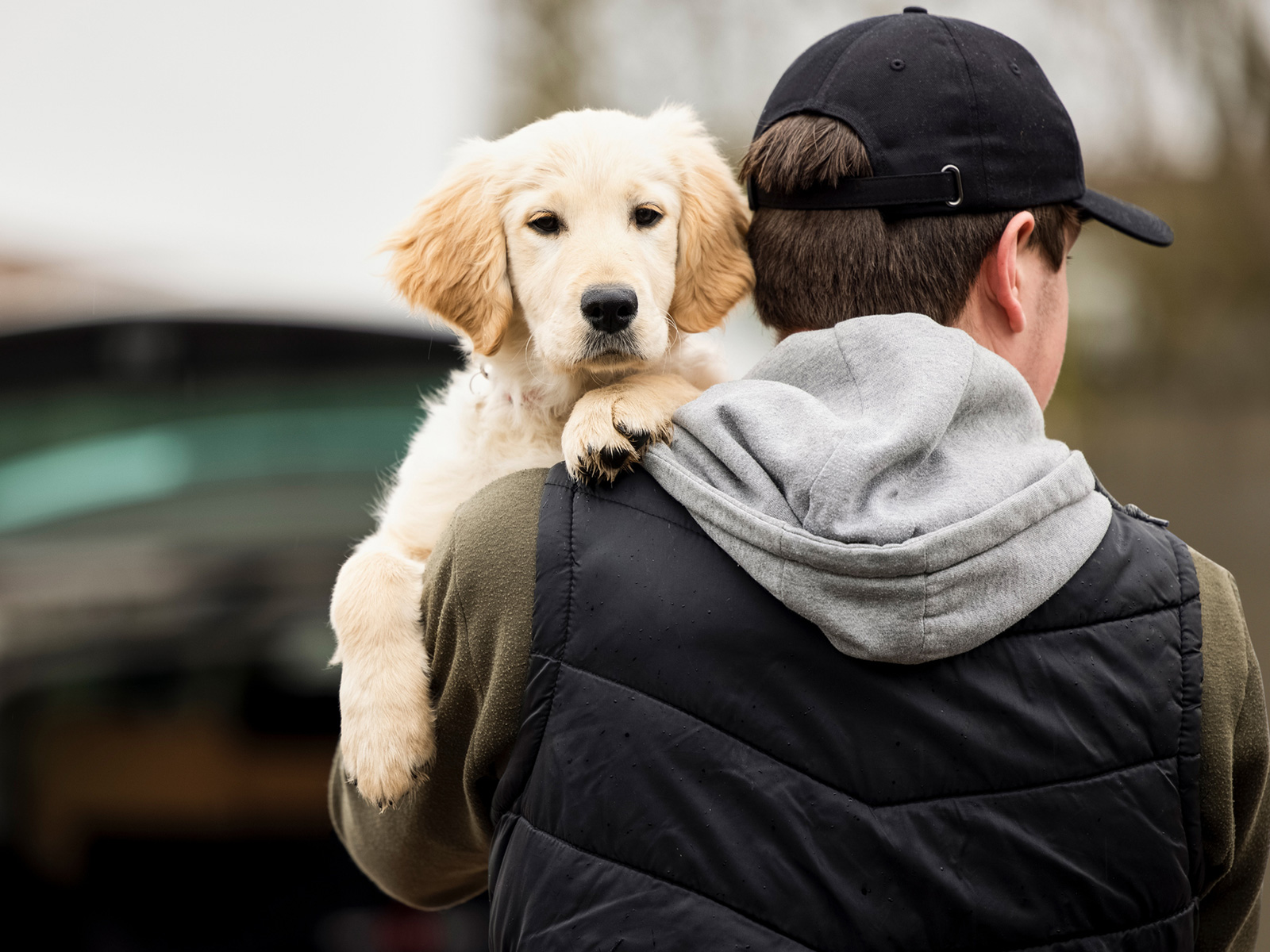 What is the meaning of a piggyback ride? - Question about English (US)