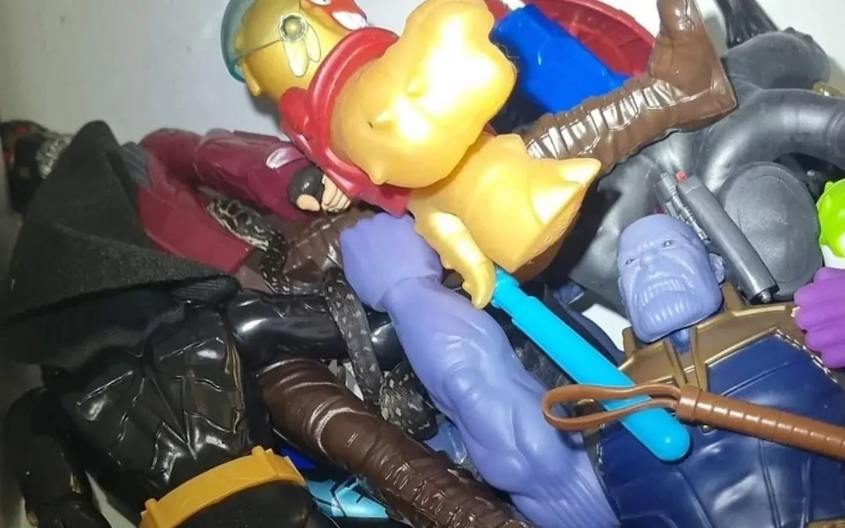 Parents Spot Python Found Hiding Among Toys in Children's Playroom - Vimarsana News