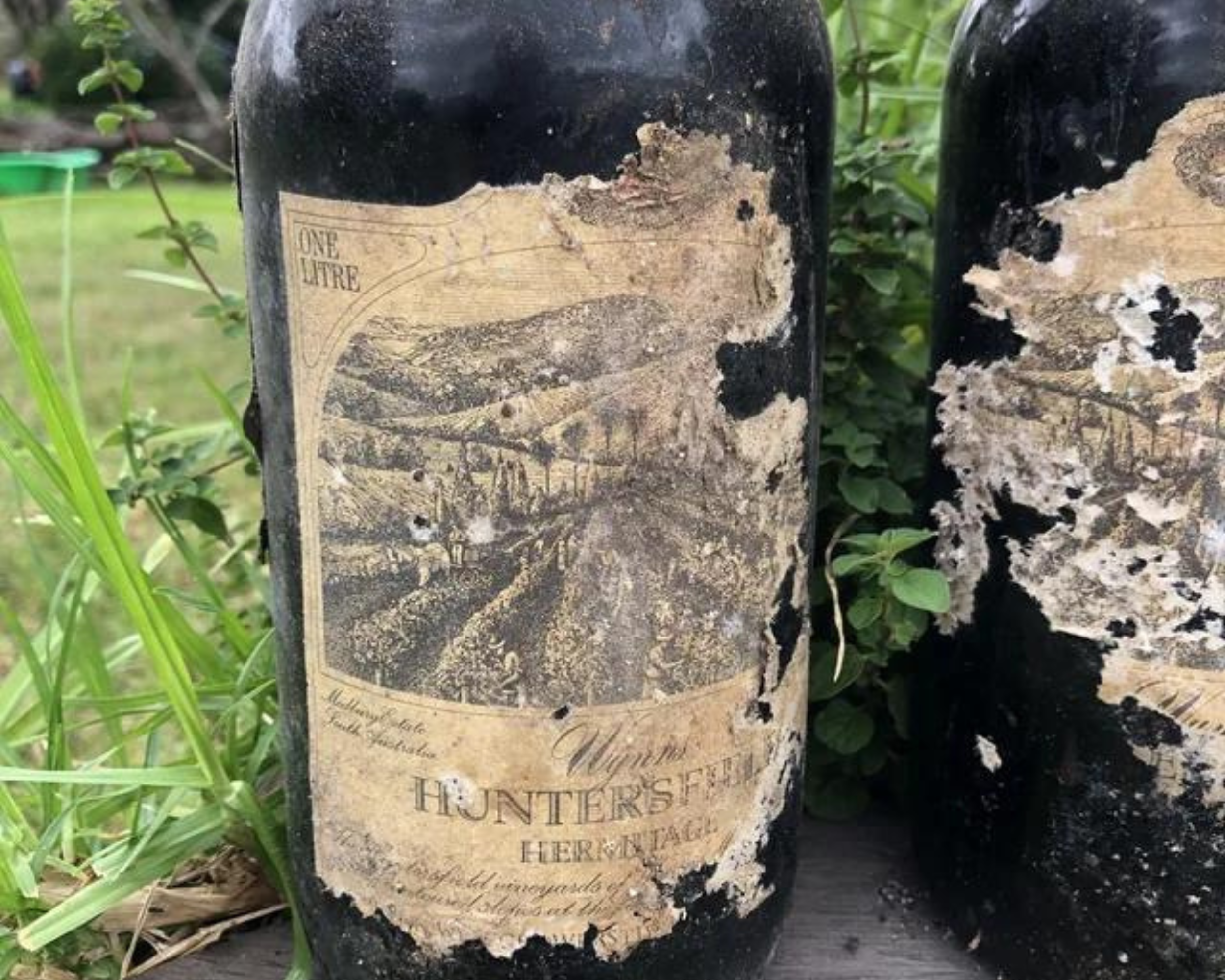 Woman Stumbles on Trove of Vintage Wine Under House While Spring Cleaning