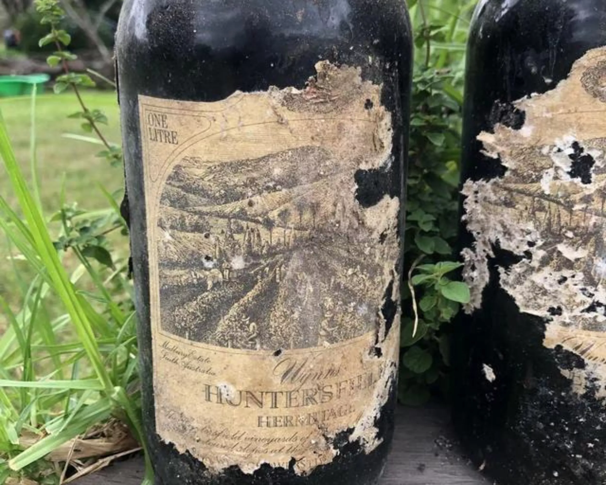 Woman Stumbles on Trove of Vintage Wine Under House While Spring Cleaning - Vimarsana News