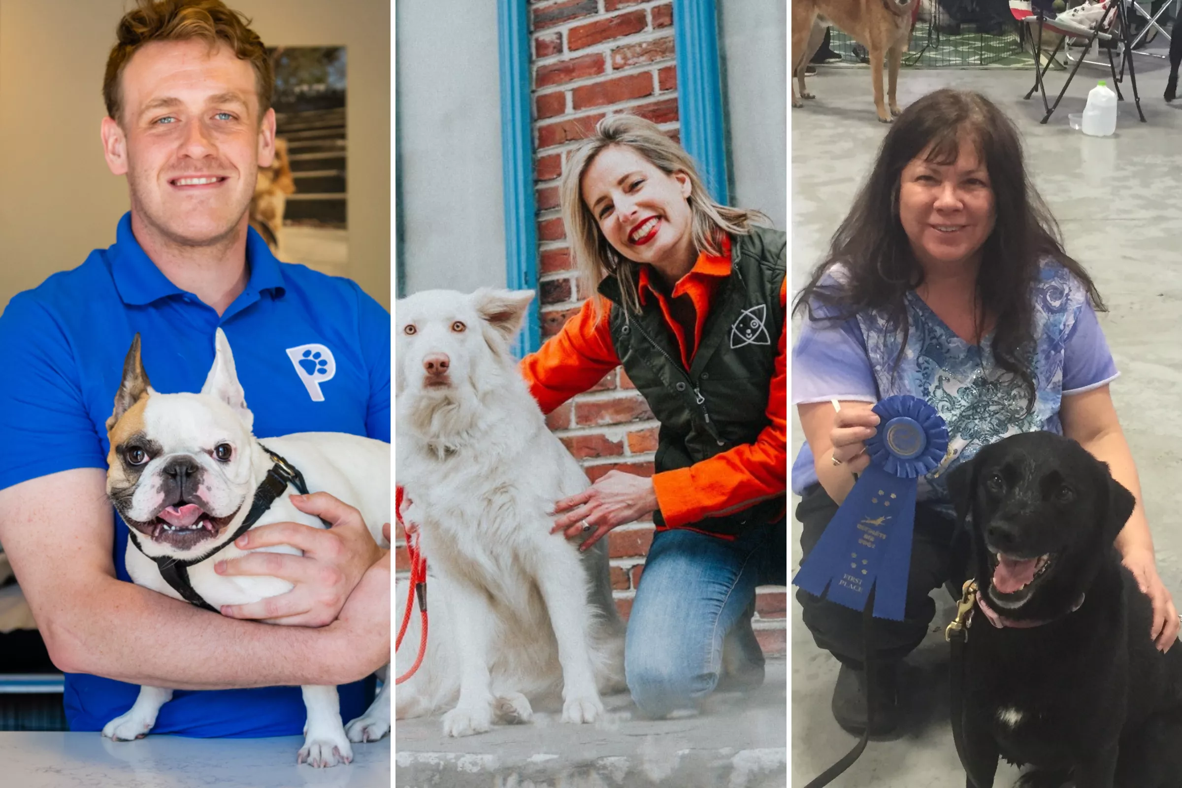 The Best Ways To Maximize Your Dog's True Happiness, According to Experts - Vimarsana News