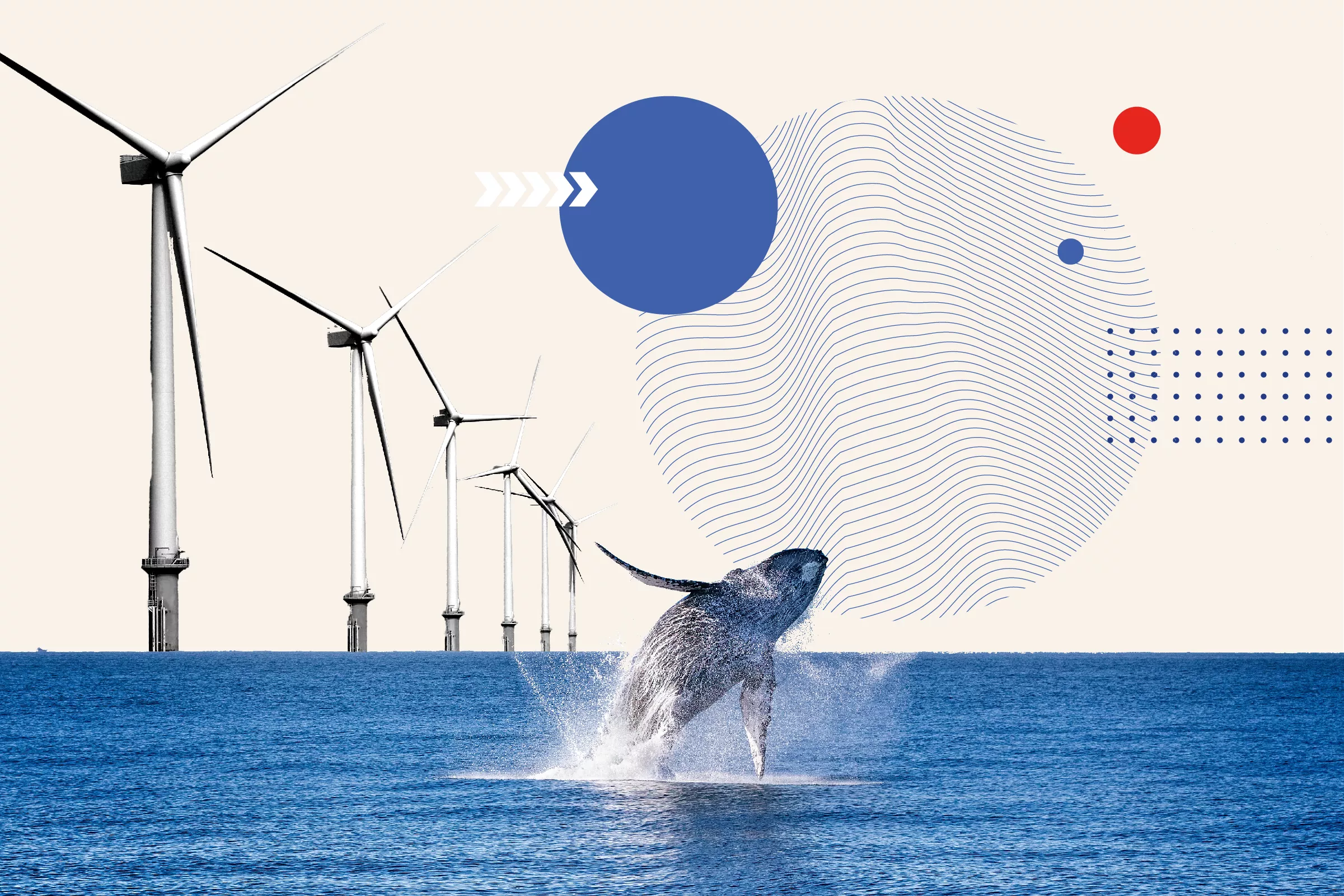 Republicans' War With Offshore Wind - Vimarsana News