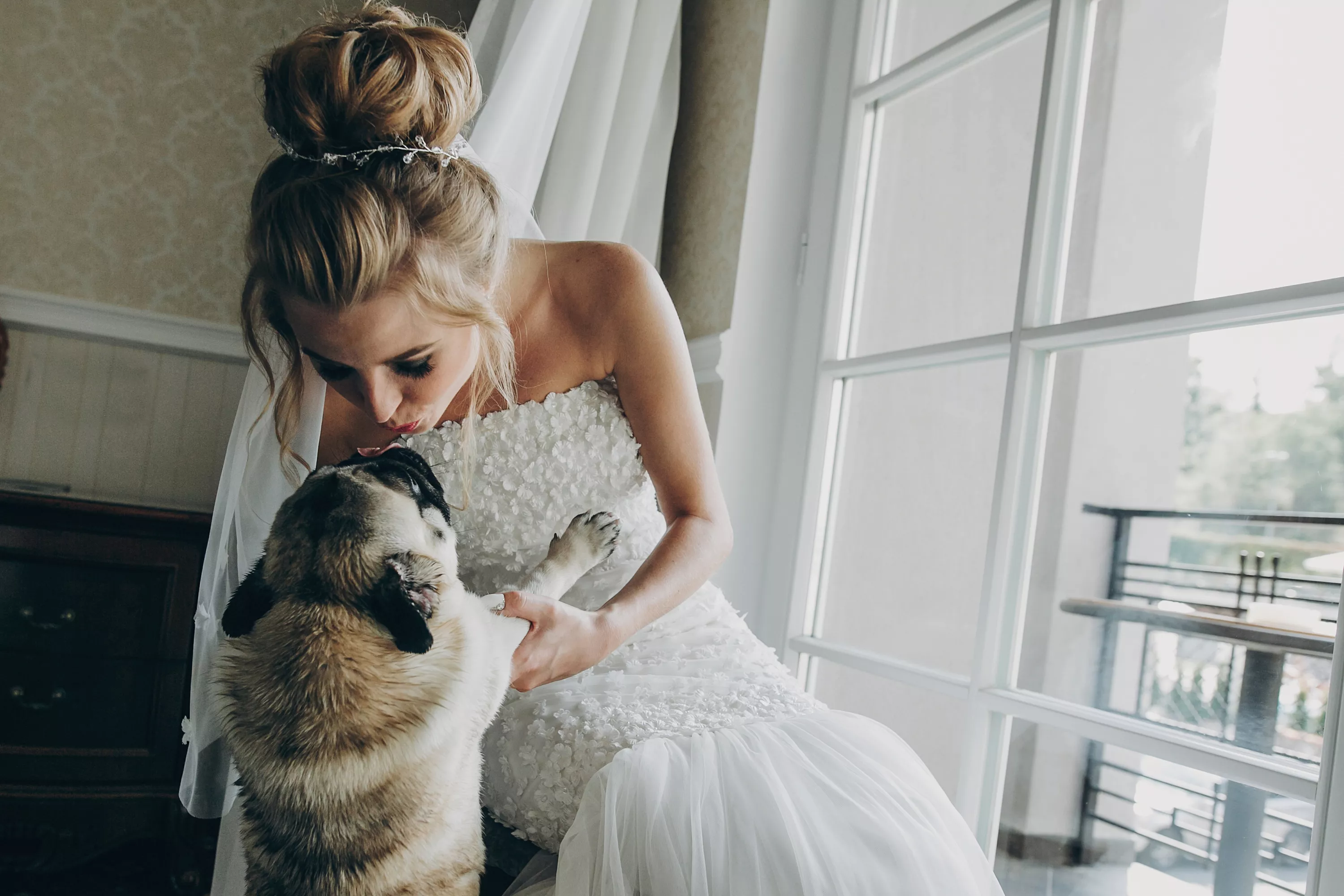 Internet Obsessed With Bride and Dog Flower Girl in Matching White Dresses - Vimarsana News