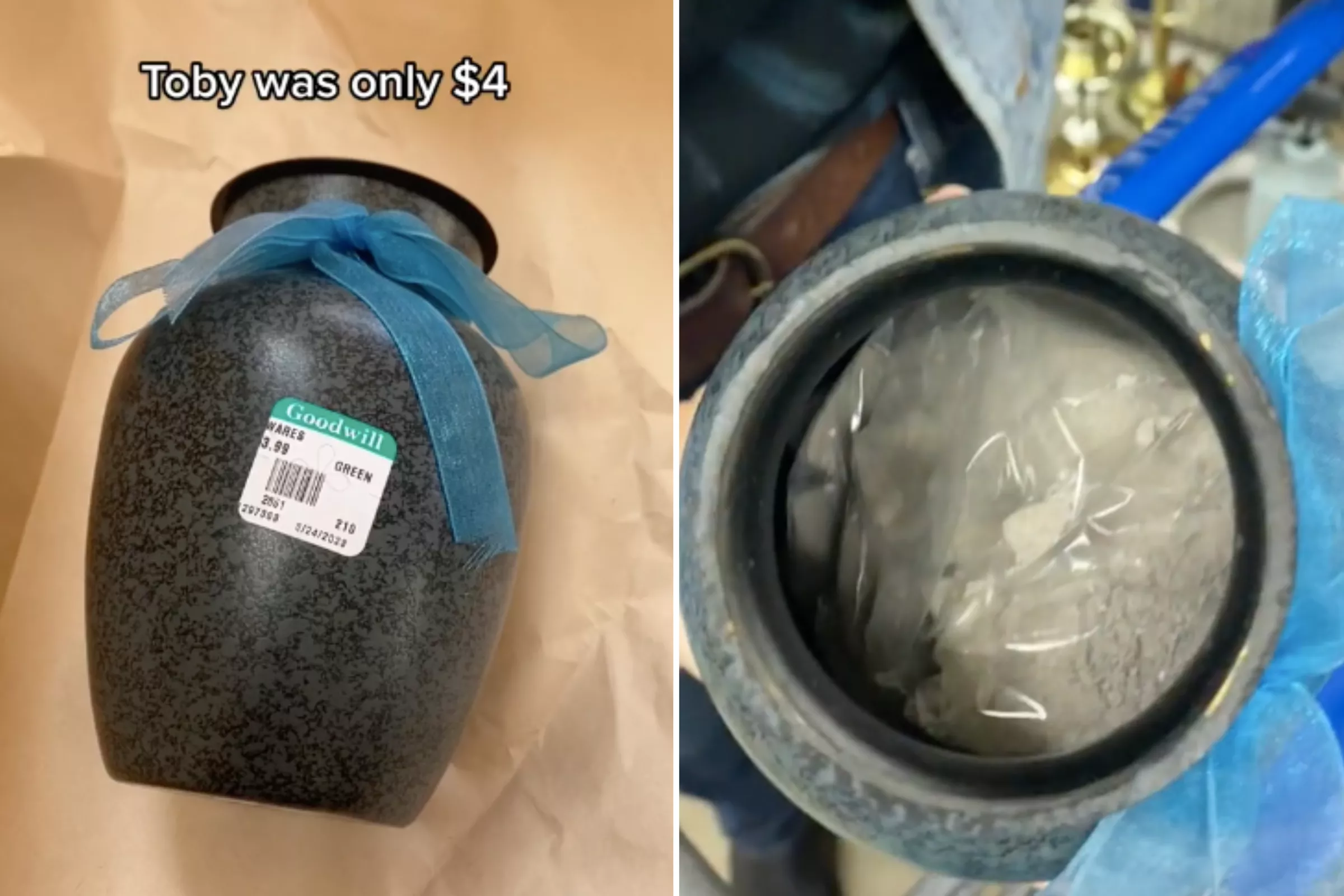 Horror as Woman Finds Urn Complete With Ashes at Goodwill for $3.99 - Vimarsana News