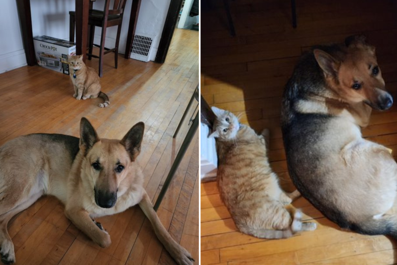 Buster and Kaiser