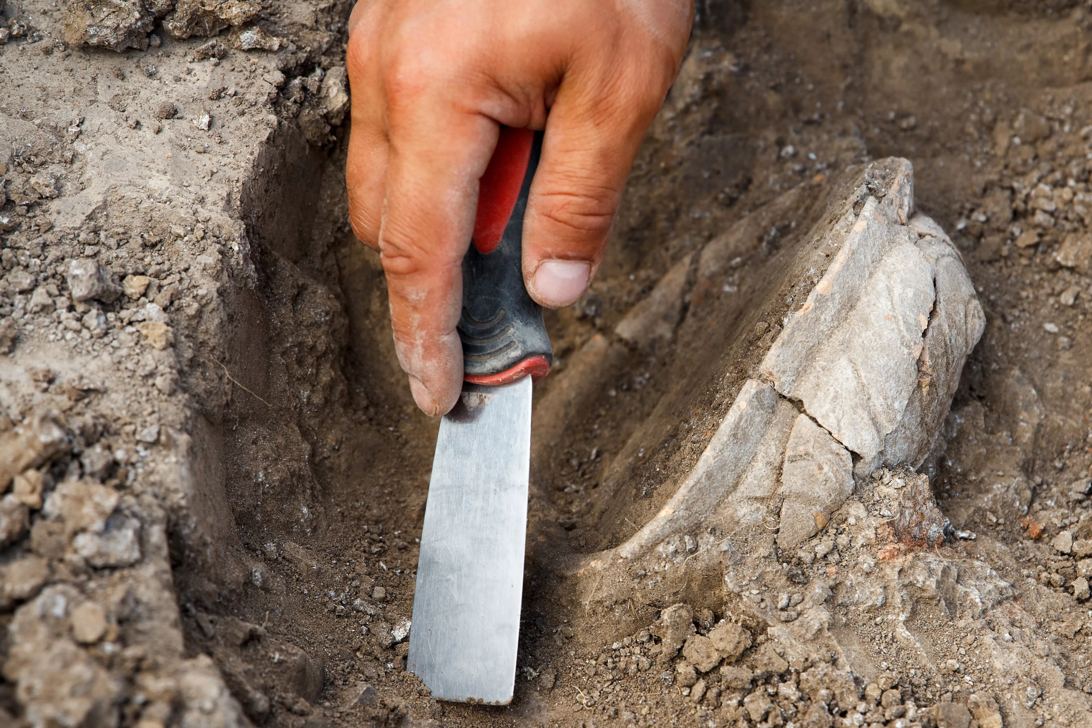 Previously Unknown Creature From 240 Million Years Ago Discovered in Quarry - Vimarsana News