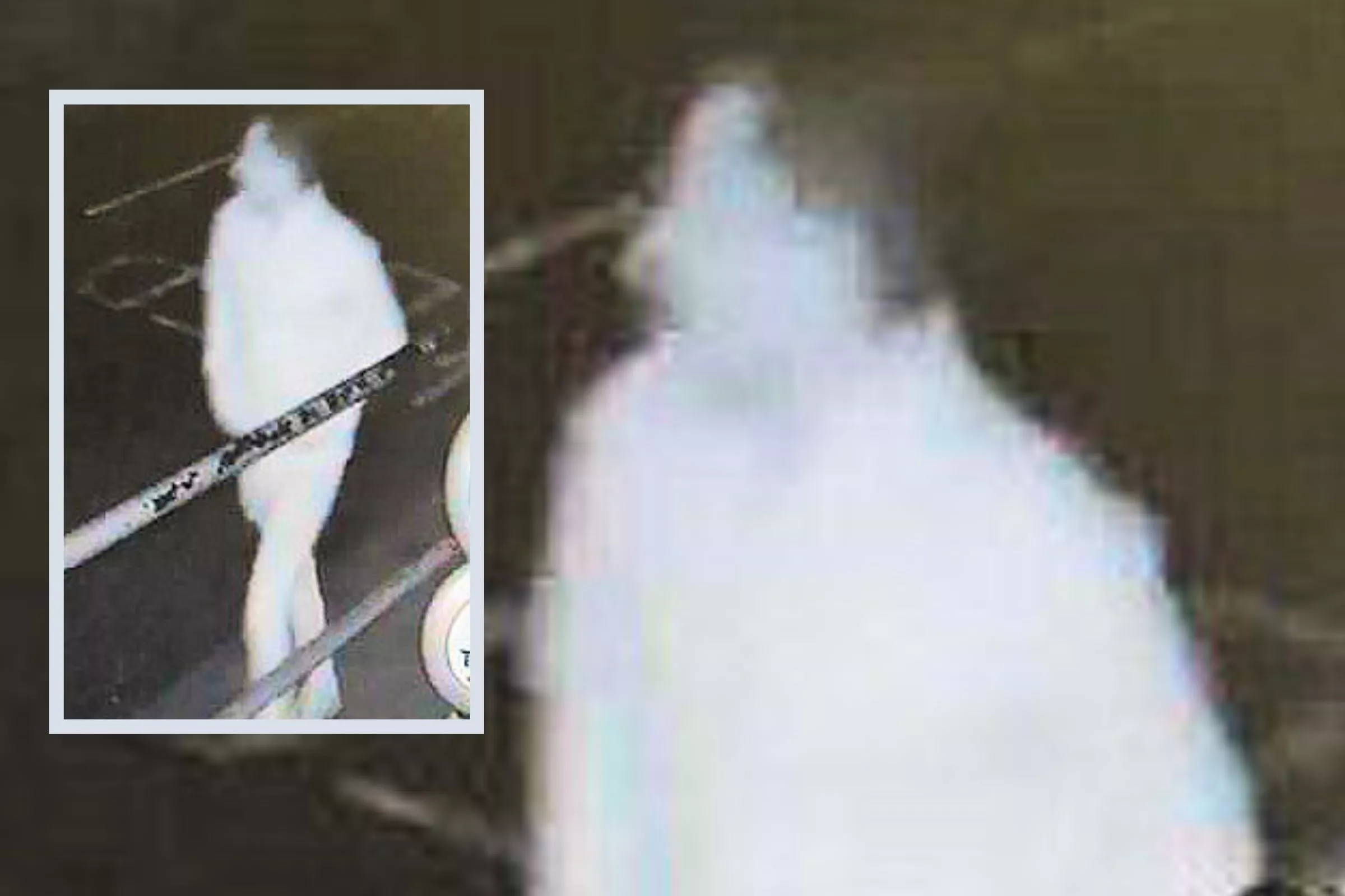 Police Mocked After Releasing 'Ghostly' CCTV Image of Suspect - Vimarsana News