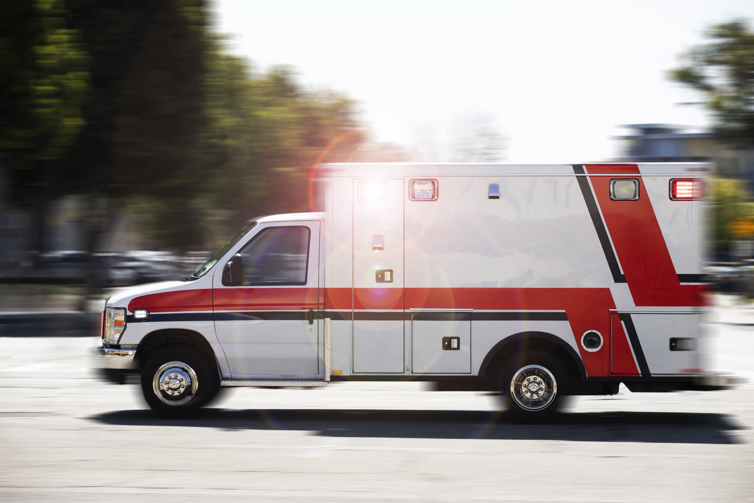 Toddler Mauled to Death by Dog in Maryland