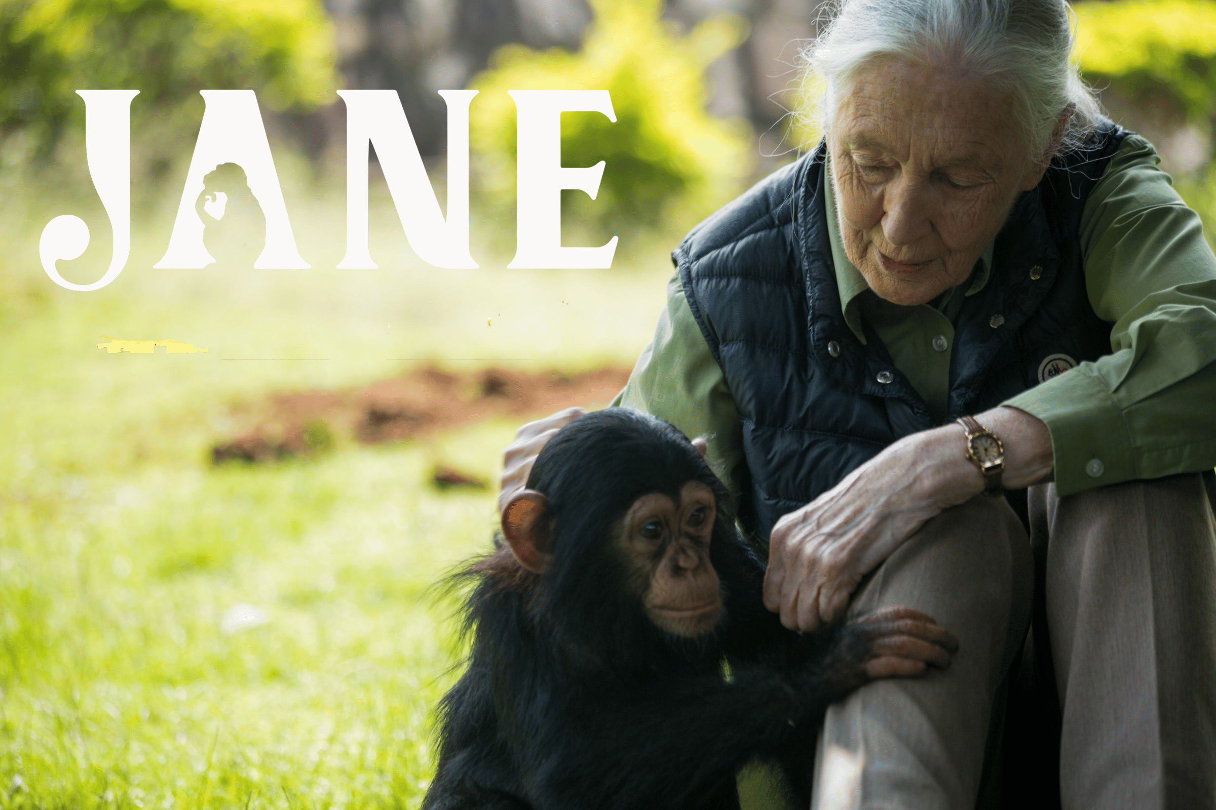 Dr. Jane Goodall Reveals What the Planet Needs To Fix 'Horrible Mess