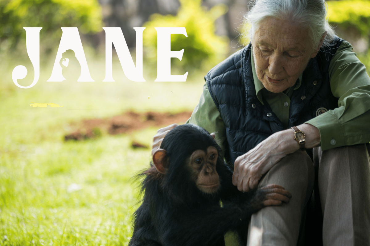 Jane Goodall, chimp and Jane logo