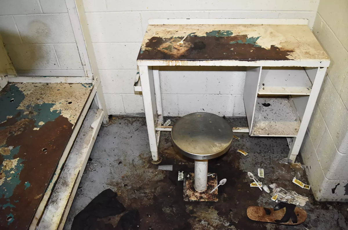 Inmate Dies After Being 'Eaten Alive' By Bugs, Family Says - Vimarsana News
