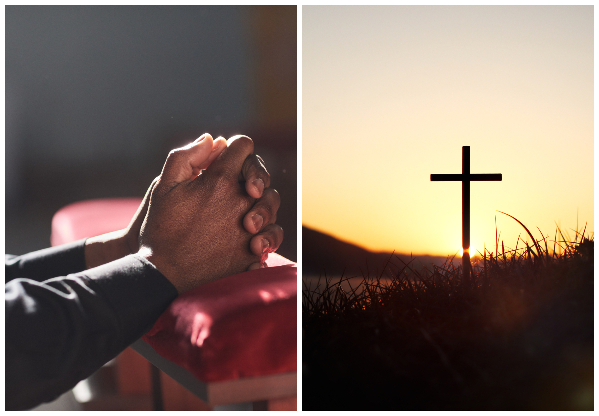 Cult Members Found Starved to Death in Forest After Fasting for Jesus