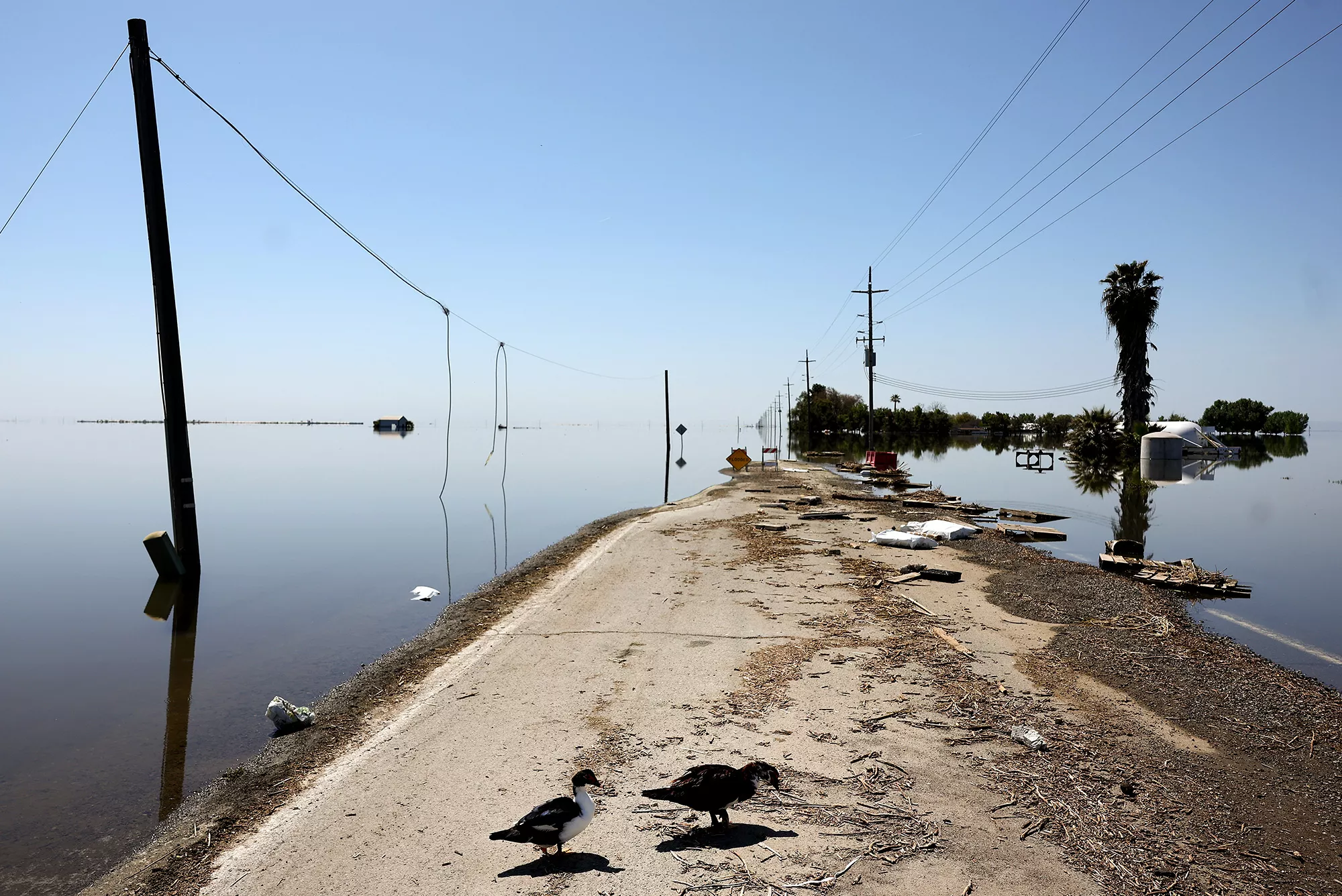 The Ghost Lake Rising in California - Vimarsana News