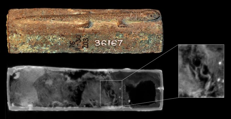 Lizard coffin from Ancient Egypt