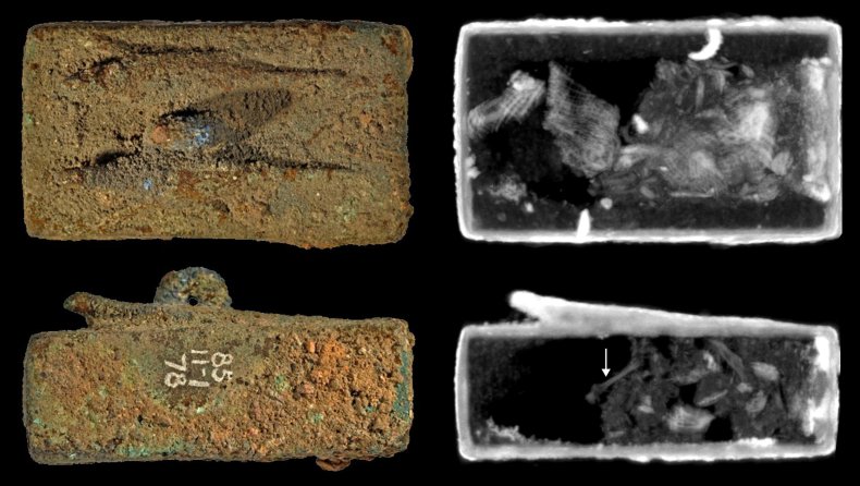 Animal coffin from ancient Egypt