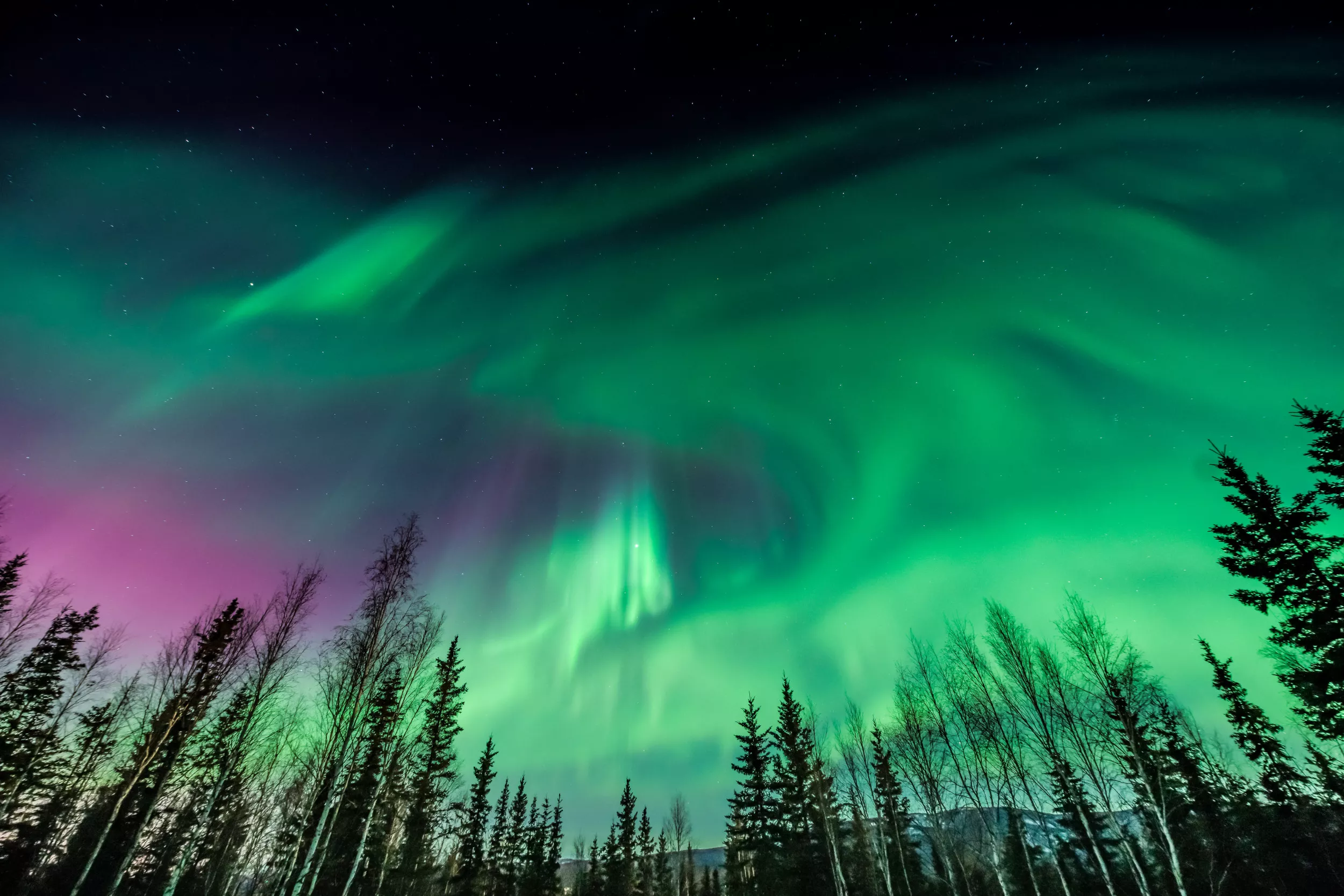 Stunning Images Capture Northern Lights Over U.S. and Canada - Vimarsana News