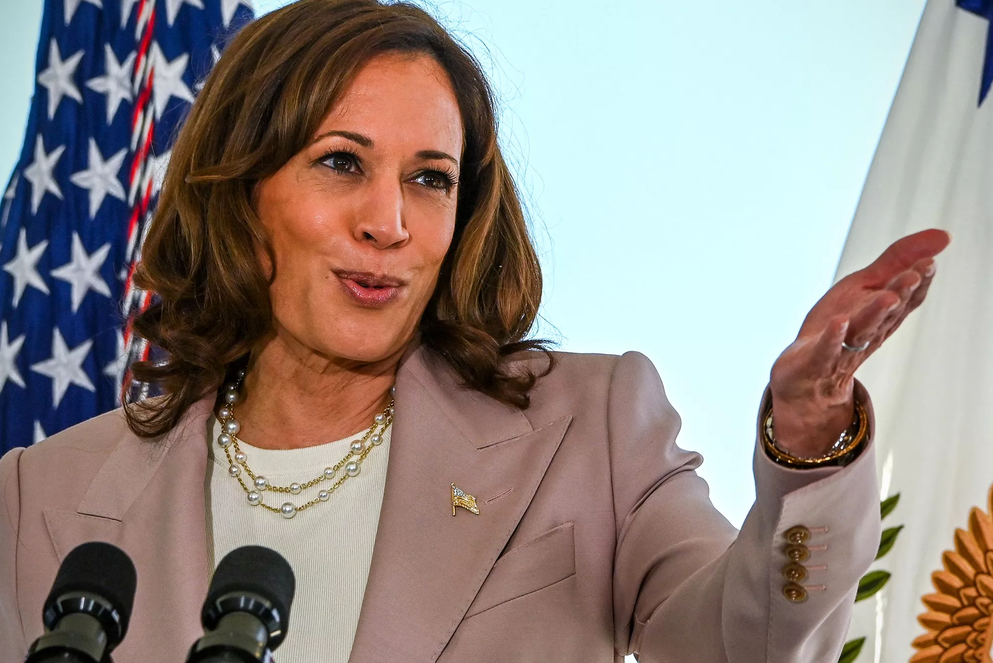 Joe Biden Embraces Kamala Harris for 2024 Run - Vimarsana News