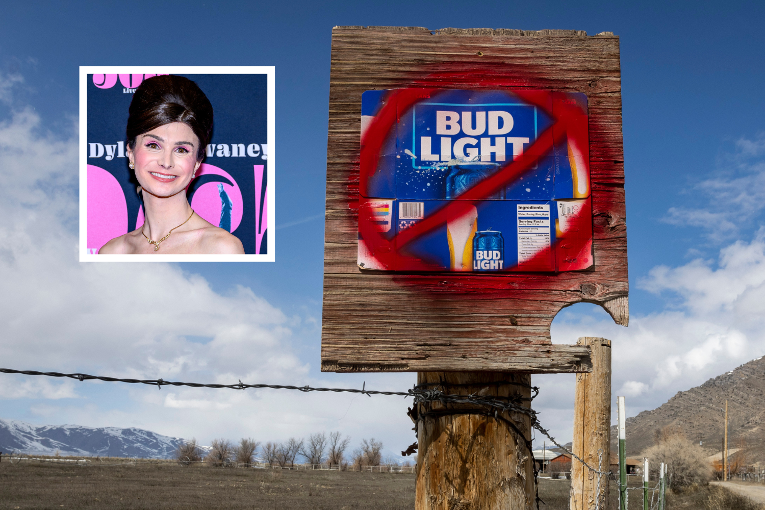 The Boycott Against Bud Light Is Hammering Experts Explain , 40% OFF