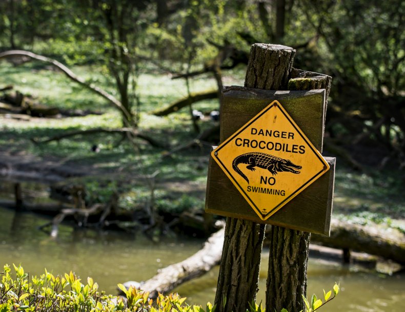 Panneau d'avertissement de crocodile