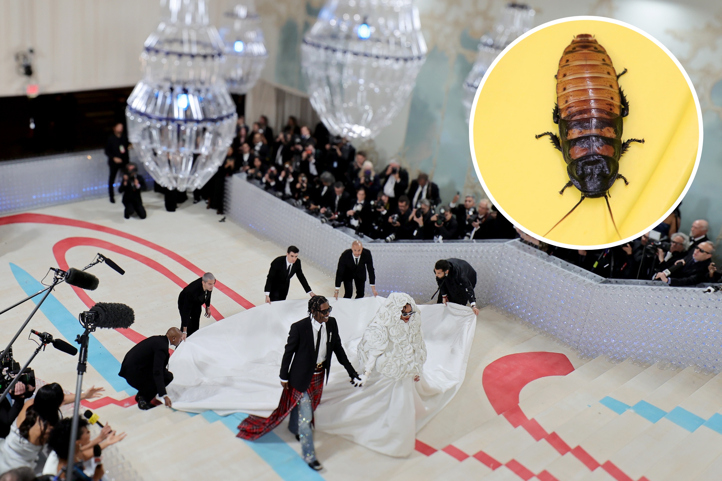 Video of Cockroach at Met Gala Goes Viral Before Getting Stepped On