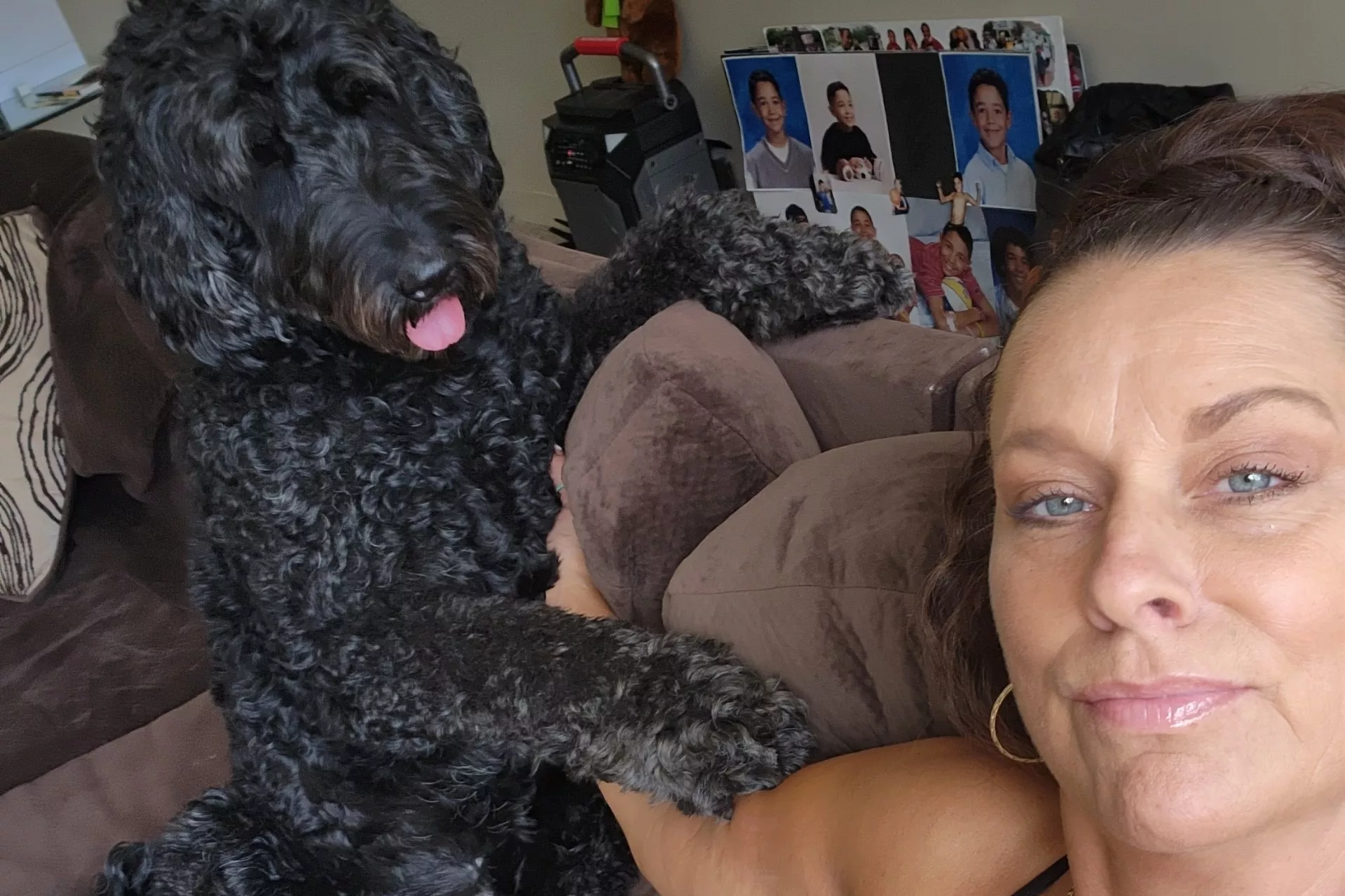 Owner of Dog Shot in Face by Police Vows Legal Action After Officer Cleared - Vimarsana News