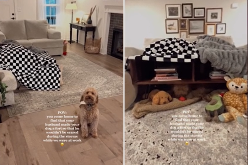 Dog gets his own fort for storms