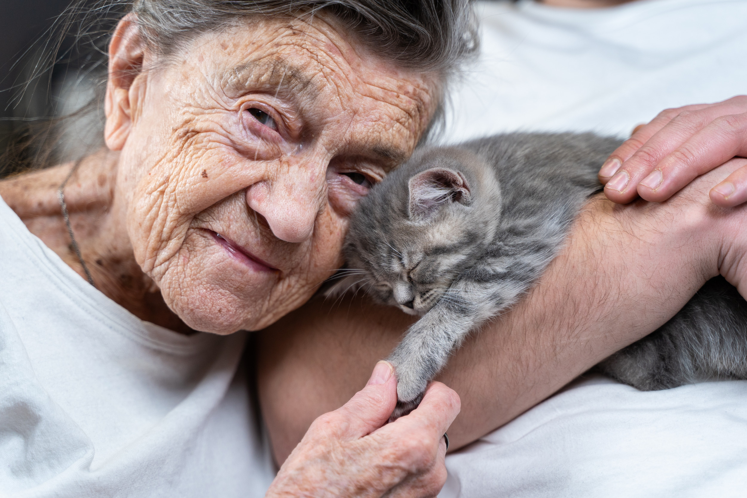 Grandma cat. Постинсультная спастичность. Ai Cat grandma.