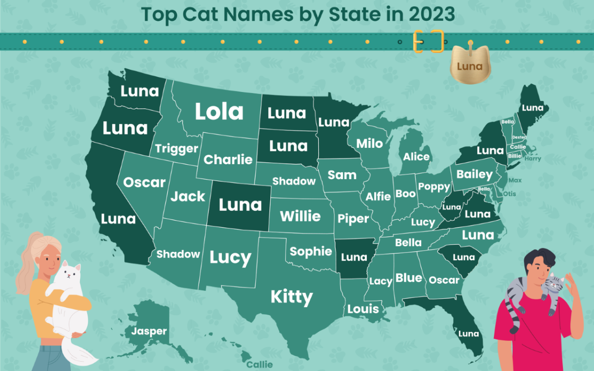 A map revealing America's top cat names.