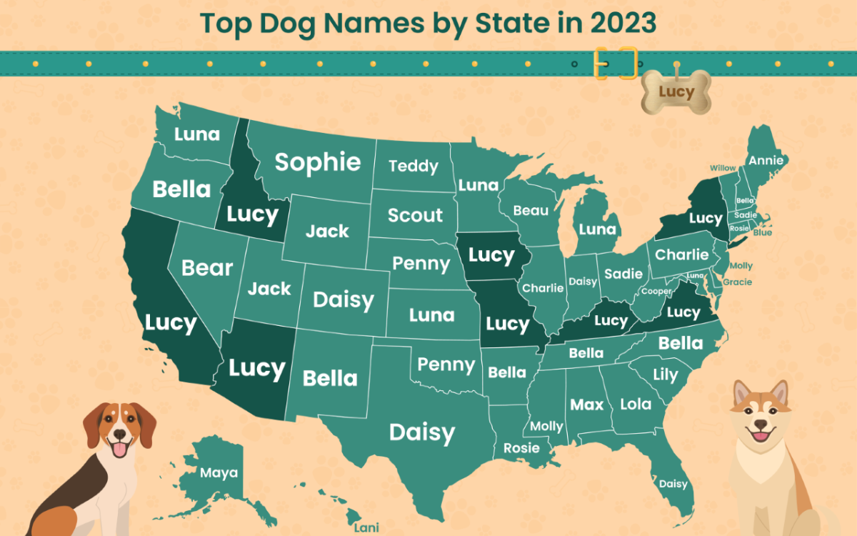 The Most Popular Dog Name In Every U.S. State Has Been Revealed