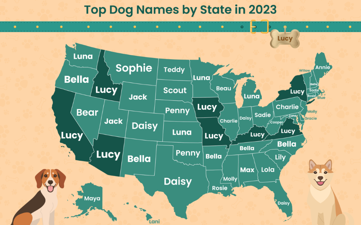 The top dog names by U.S. state.