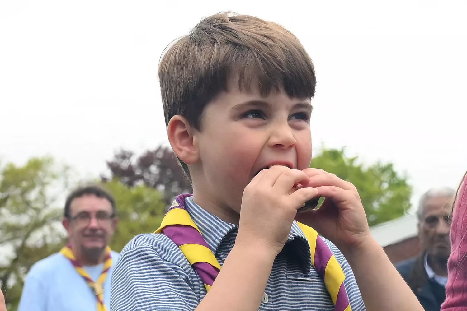 Prince Louis' S'mores Reaction Melts Fans' Hearts: 'He Never Disappoints' - Vimarsana News